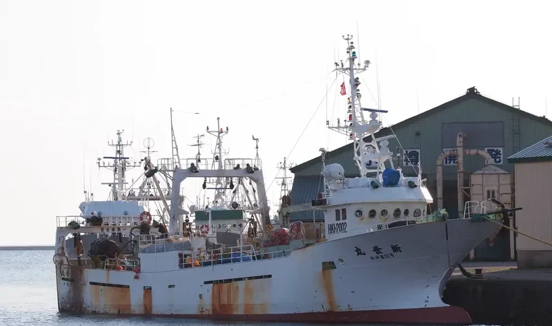 SHINSEI MARU General Cargo IMO 9279458
