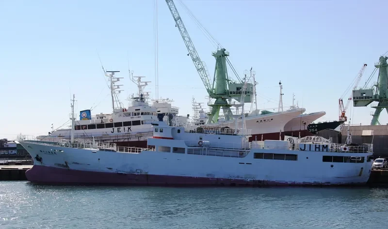 CHOKYUMARUNO12 General Cargo IMO 9279472 photo 7