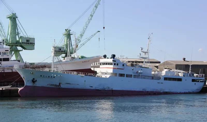 CHOKYUMARUNO12 General Cargo IMO 9279472 photo 8