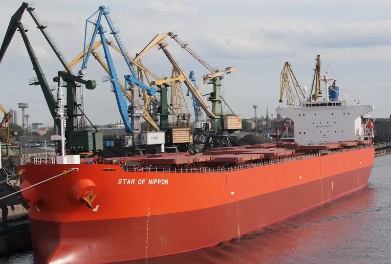 STARLIGHT Bulk Carrier IMO 9279484 photo 5