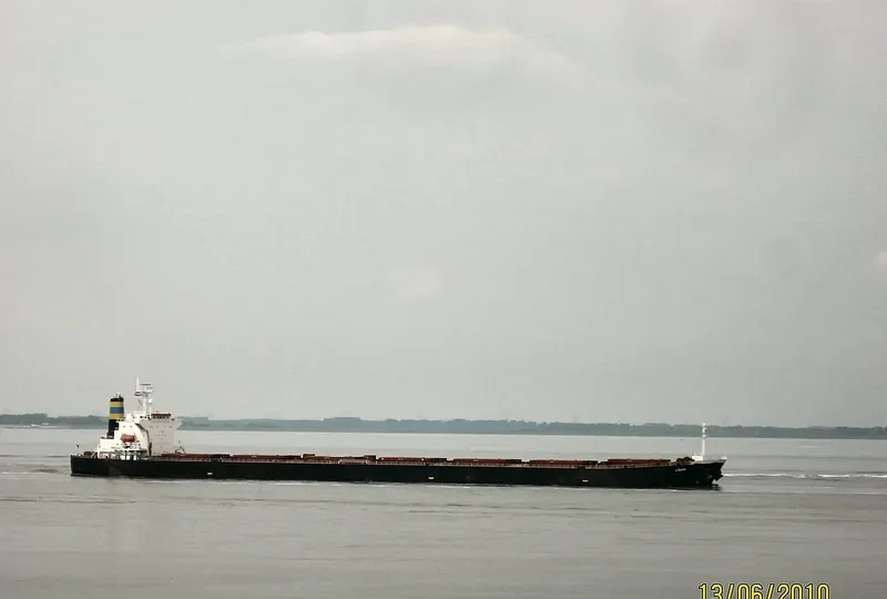 LIGARI Bulk Carrier IMO 9279513 photo 7