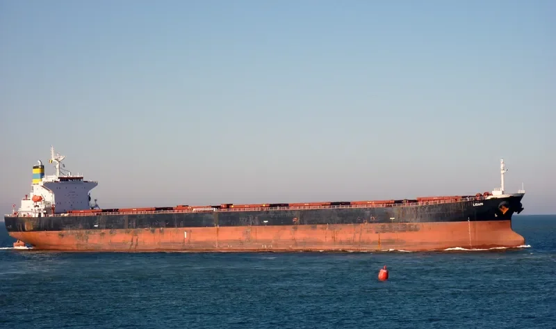 LIGARI Bulk Carrier IMO 9279513 photo 10