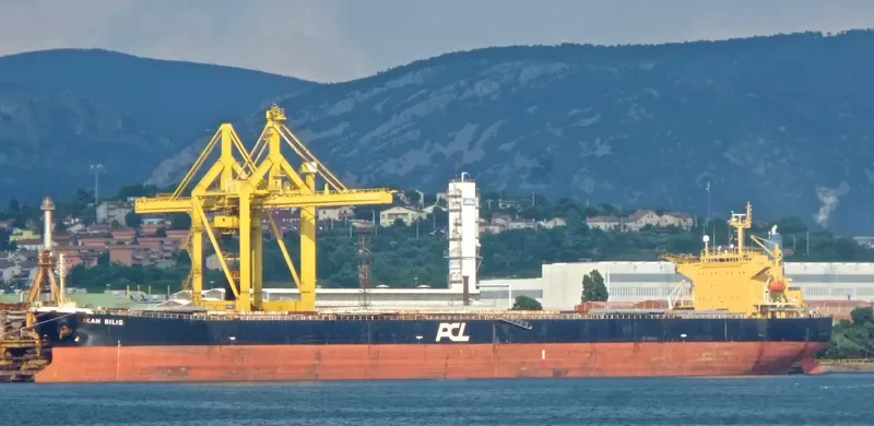 HC PIONEER Bulk Carrier IMO 9279525 photo 2