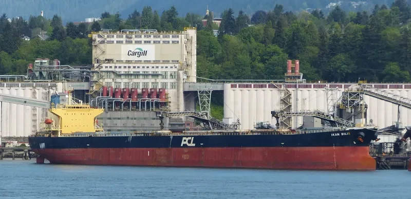 HC PIONEER Bulk Carrier IMO 9279525 photo 10