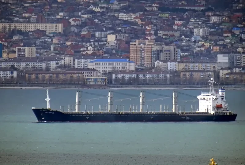 SEA BRAVE Bulk Carrier IMO 9279551 photo 2