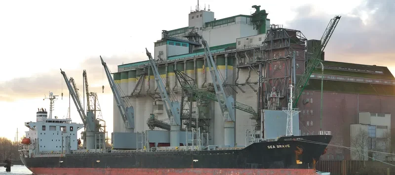 SEA BRAVE Bulk Carrier IMO 9279551 photo 8