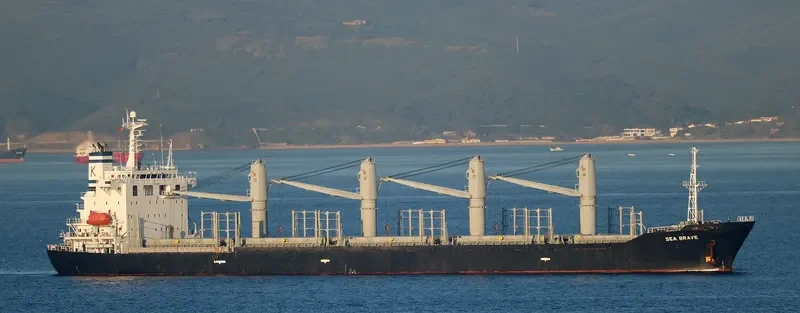 SEA BRAVE Bulk Carrier IMO 9279551 photo 9