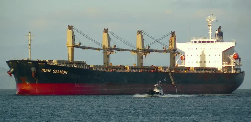 AM OCEAN PRIDE Bulk Carrier IMO 9279599 photo 3