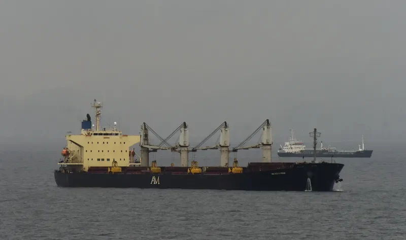 AM OCEAN PRIDE Bulk Carrier IMO 9279599 photo 6