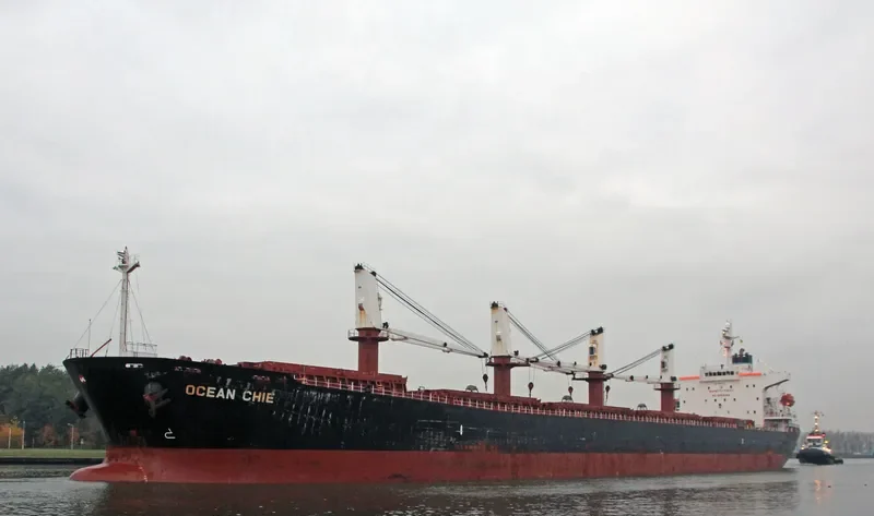 TONG DE 98 Bulk Carrier IMO 9279745 photo 6