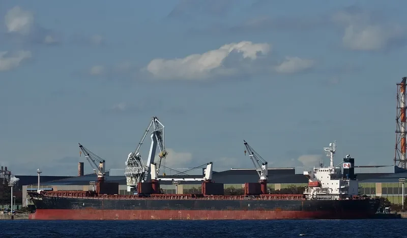 TONG DE 98 Bulk Carrier IMO 9279745 photo 9