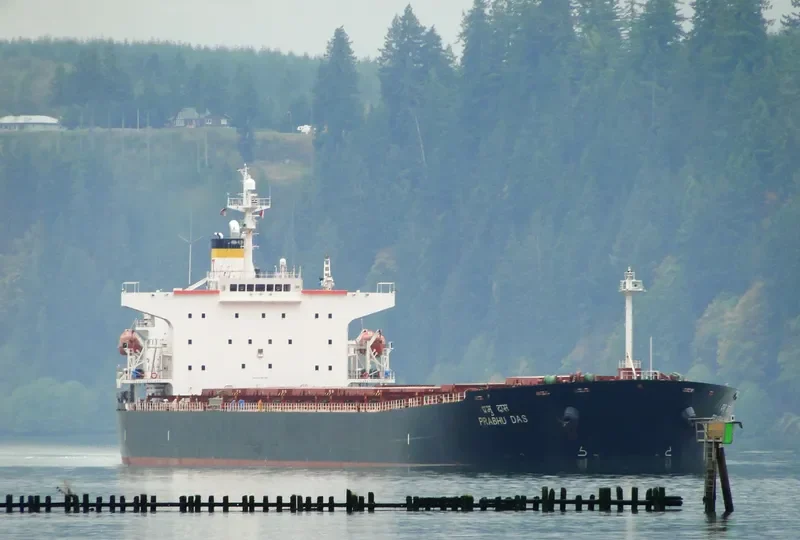 PRABHU DAS Bulk Carrier IMO 9279795 photo 4