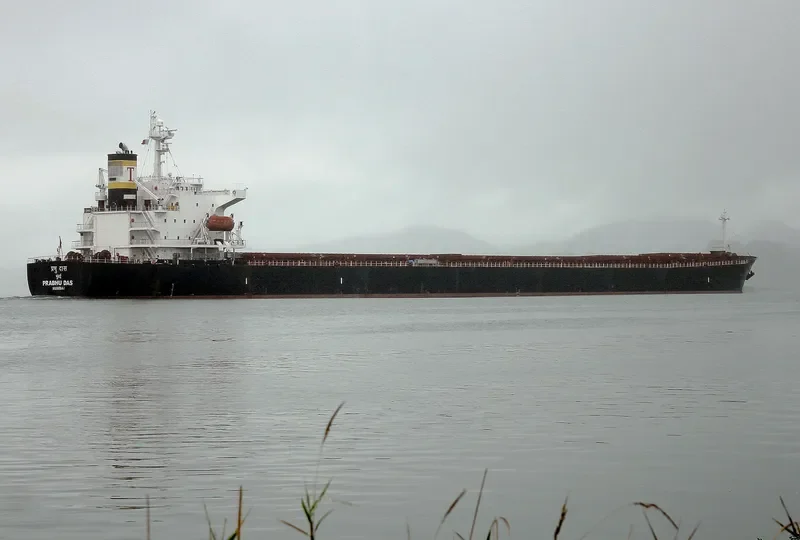 PRABHU DAS Bulk Carrier IMO 9279795 photo 10