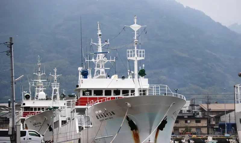 CHOKYU MARU NO.35 General Cargo IMO 9279953 photo 3