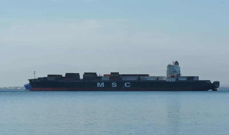 MSC FABIENNE Container Ship IMO 9279965
