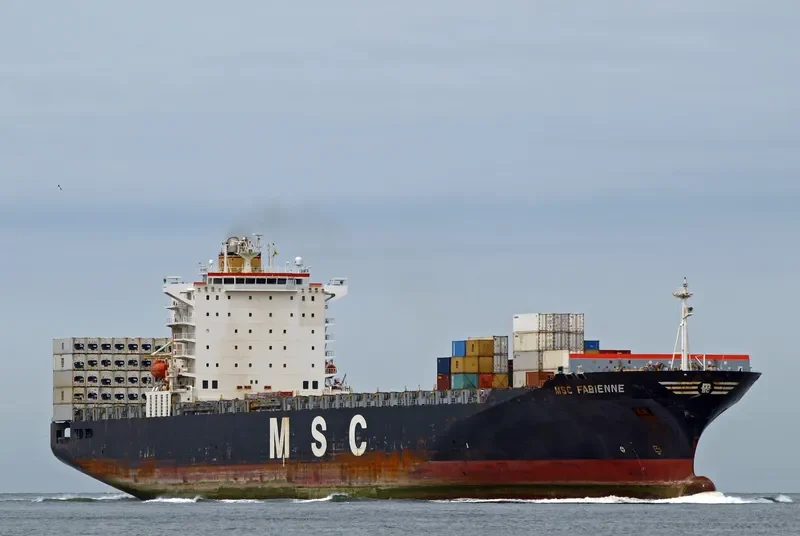 MSC FABIENNE Container Ship IMO 9279965 photo 2