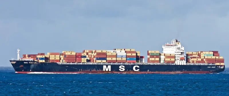 MSC POH LIN Container Ship IMO 9279977 photo 2
