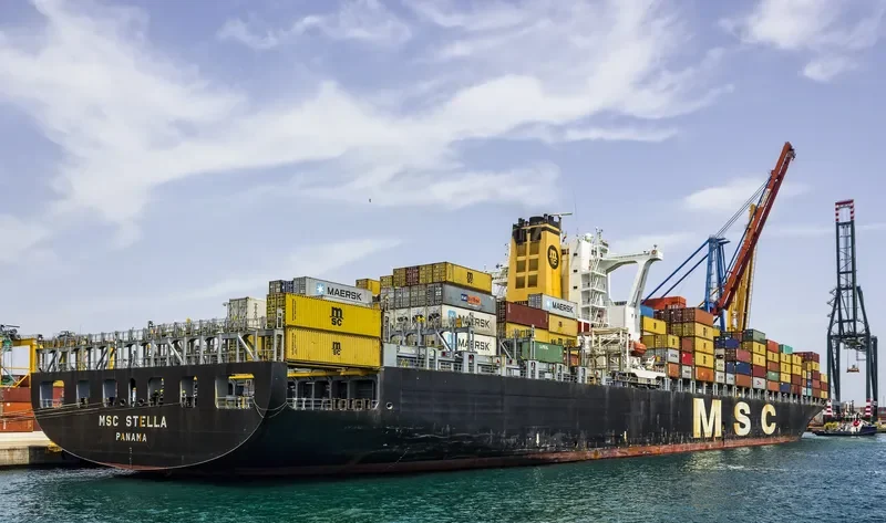 MSC STELLA Container Ship IMO 9279989 photo 2