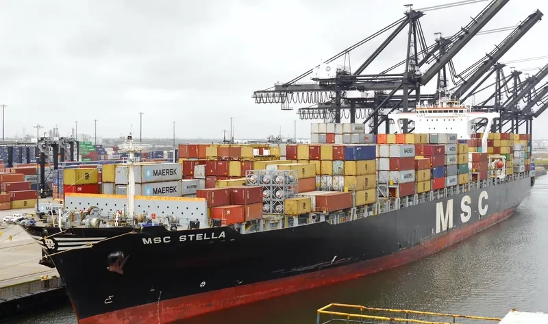 MSC STELLA Container Ship IMO 9279989 photo 3