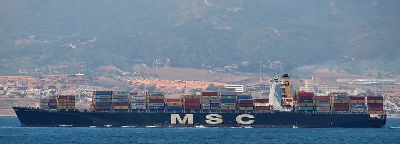 MSC STELLA Container Ship IMO 9279989 photo 5