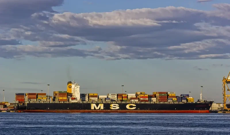 MSC STELLA Container Ship IMO 9279989 photo 6