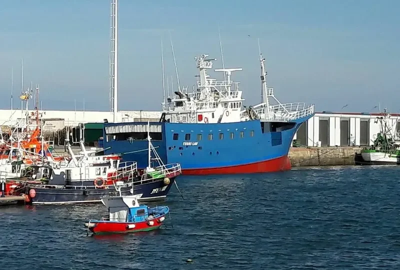TXORI LAU General Cargo IMO 9280081 photo 4