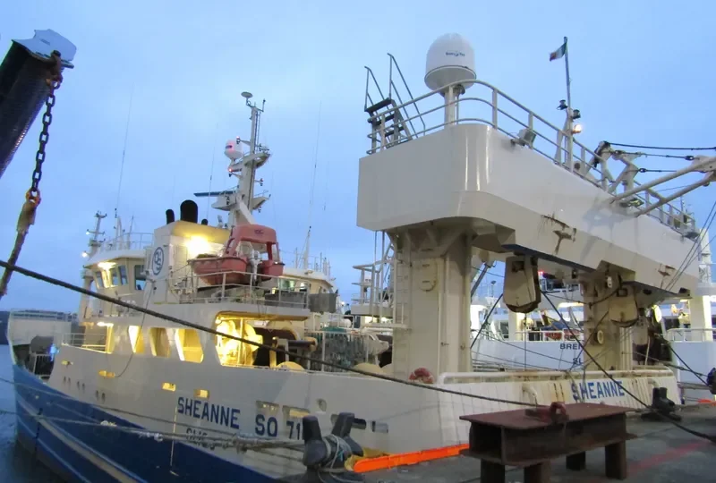 SHEANNE General Cargo IMO 9280093