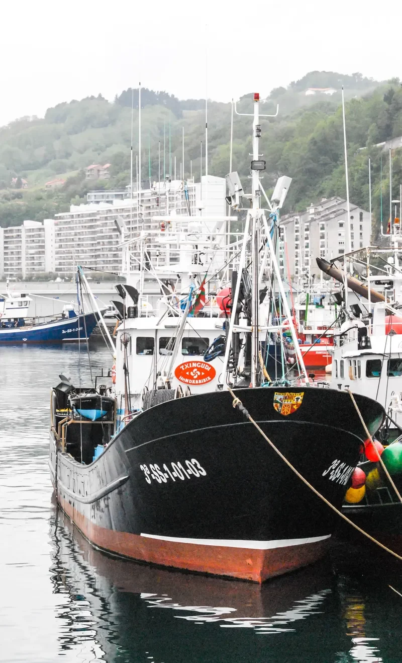 TXINGUDI General Cargo IMO 9280237