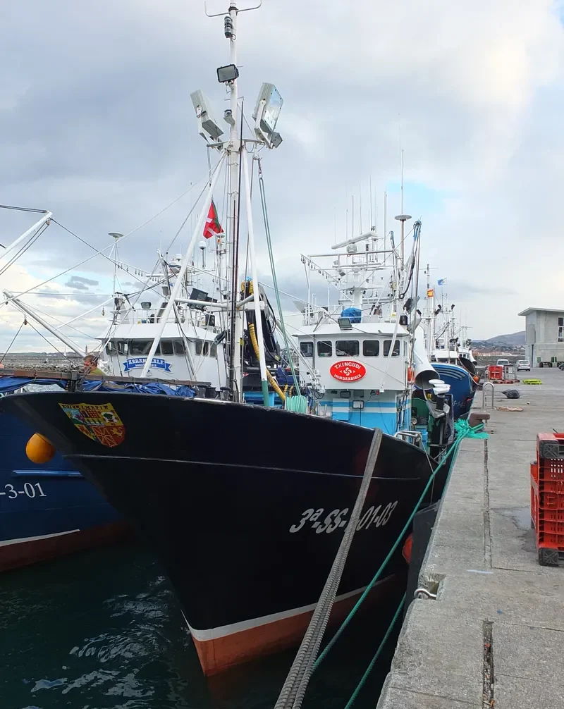 TXINGUDI General Cargo IMO 9280237 photo 5