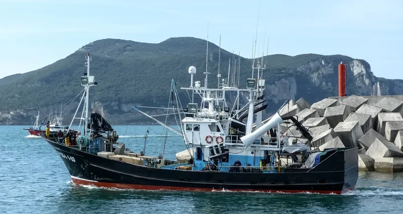 TXINGUDI General Cargo IMO 9280237 photo 10