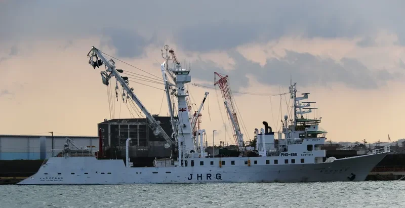 WAKABA MARU NO.5 General Cargo IMO 9281097 photo 8