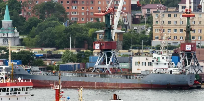QING LI Bulk Carrier IMO 9281413 photo 2