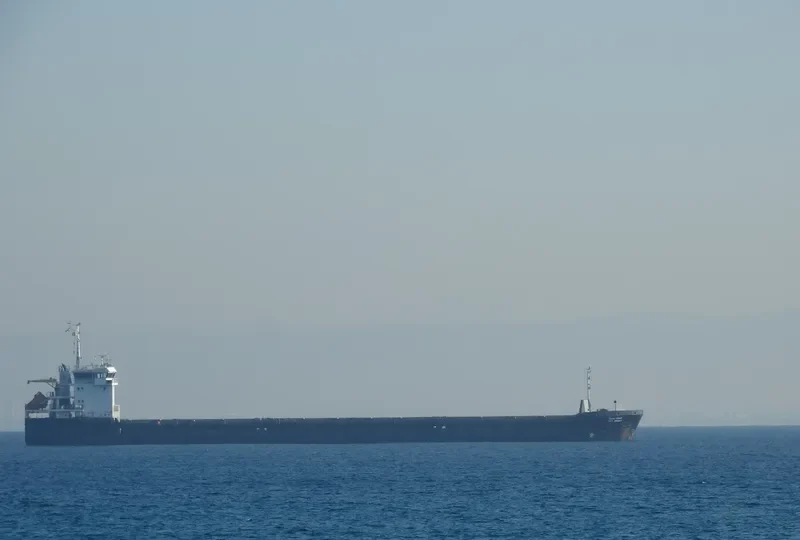 KAREWOOD BRAVE General Cargo IMO 9281516 photo 7