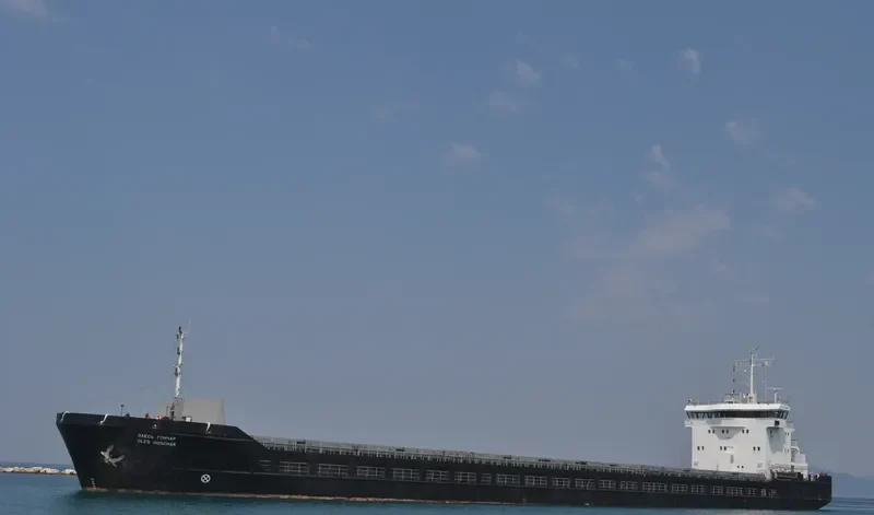 KAREWOOD BRAVE General Cargo IMO 9281516 photo 9