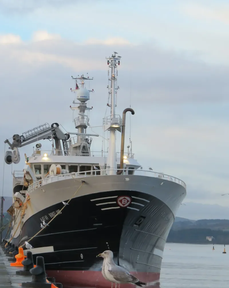 BIRKELAND General Cargo IMO 9281645 photo 5