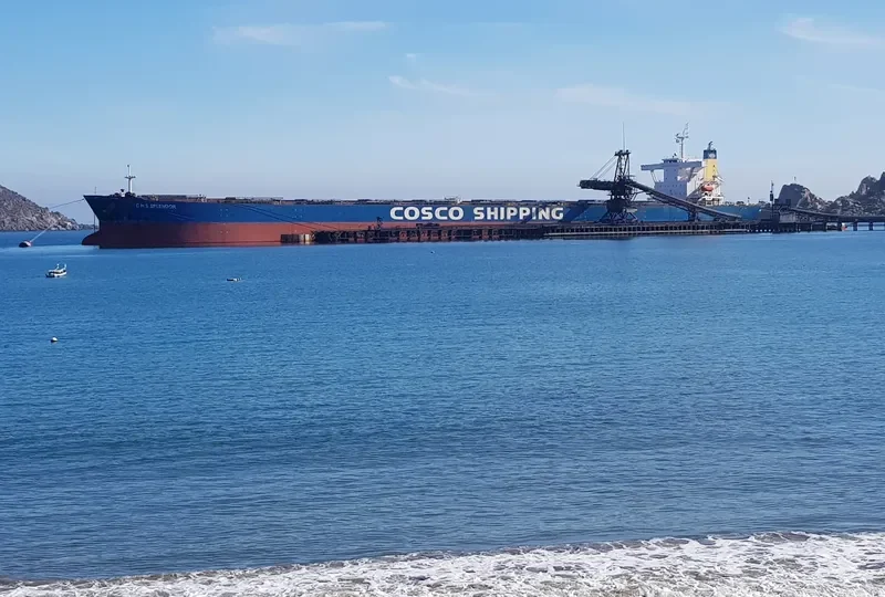 C H S SPLENDOR Bulk Carrier IMO 9281700 photo 6