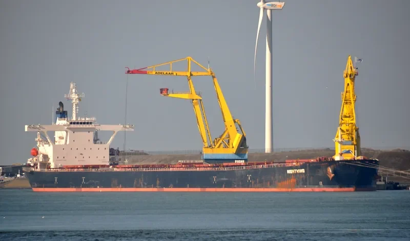 NIGHTWING Bulk Carrier IMO 9281712 photo 3