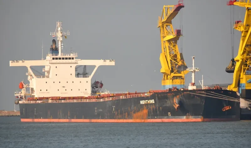 NIGHTWING Bulk Carrier IMO 9281712 photo 4