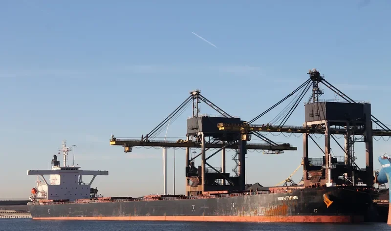 NIGHTWING Bulk Carrier IMO 9281712 photo 6
