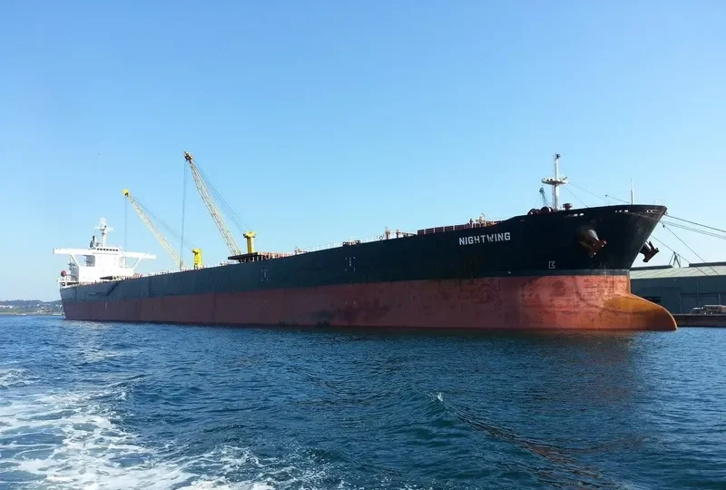 NIGHTWING Bulk Carrier IMO 9281712 photo 9