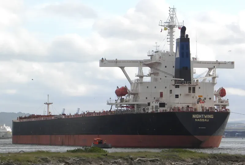 NIGHTWING Bulk Carrier IMO 9281712 photo 10