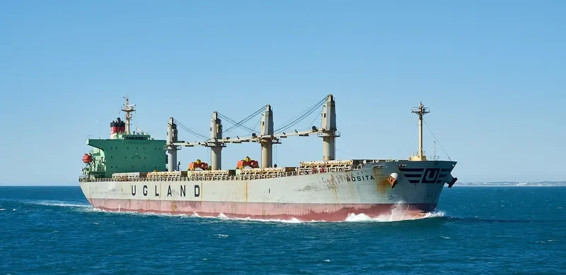 WORLDERA 5 Bulk Carrier IMO 9281724