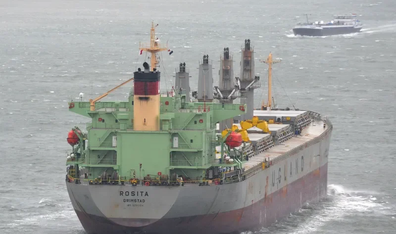 WORLDERA 5 Bulk Carrier IMO 9281724 photo 10