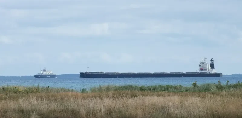 NS HANGZHOU Bulk Carrier IMO 9281827 photo 8