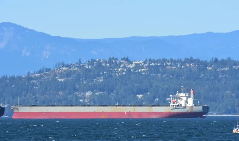 CAPE MAPLE Bulk Carrier IMO 9281918