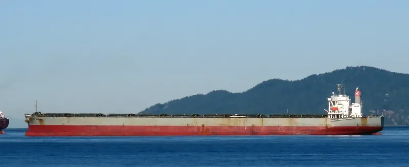 CAPE MAPLE Bulk Carrier IMO 9281918 photo 3