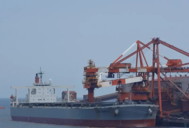 CAPE MAPLE Bulk Carrier IMO 9281918 photo 9