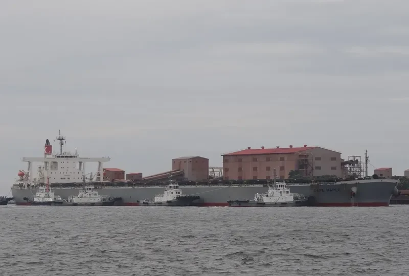 CAPE MAPLE Bulk Carrier IMO 9281918 photo 10