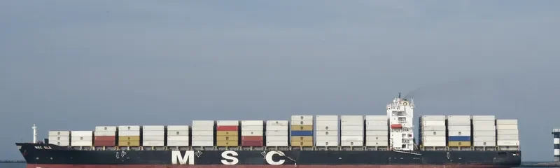 MSC ELA Container Ship IMO 9282259 photo 6