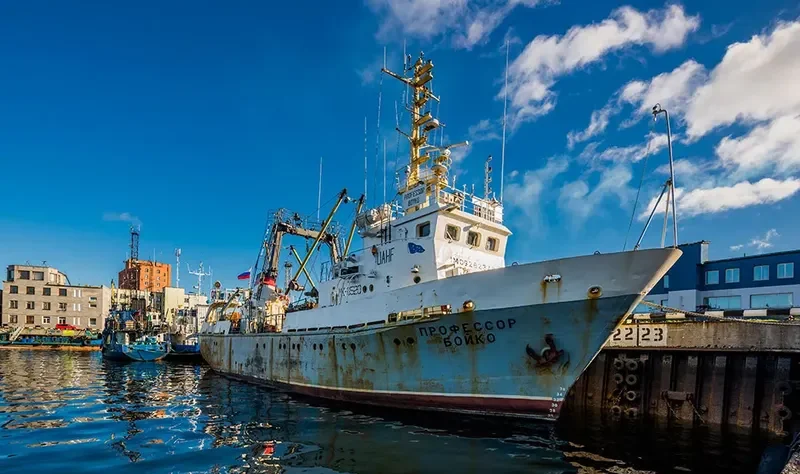 PROFESSOR BOYKO General Cargo IMO 9282340 photo 2